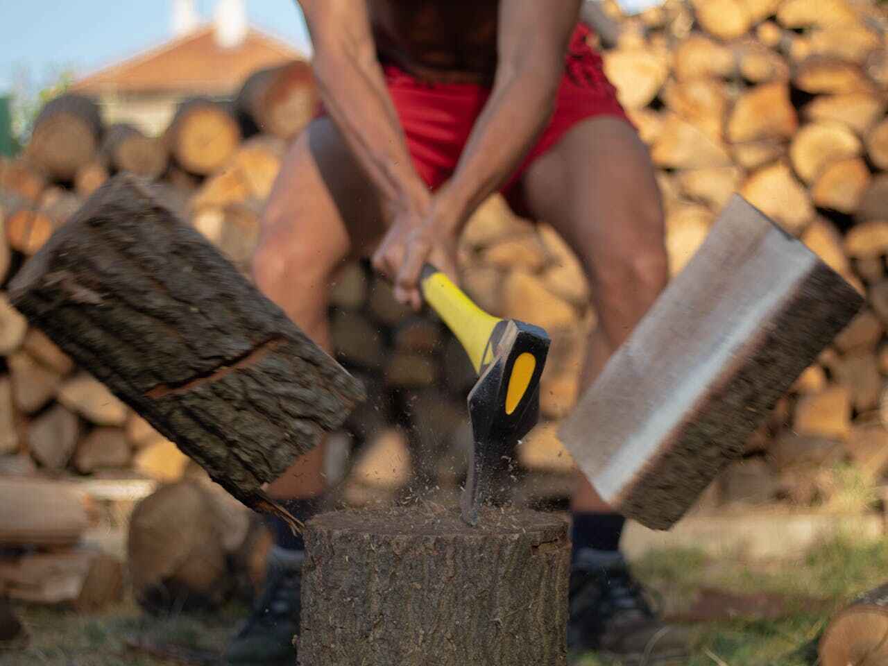 Tree Removal for Businesses in Naples Manor, FL